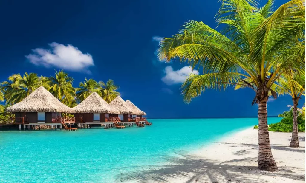 Maldives white sandy beach