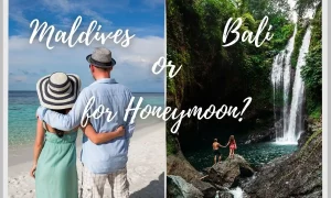 Maldives or Bali for Honeymoon?