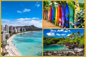 Maui or Oahu for Honeymoon?