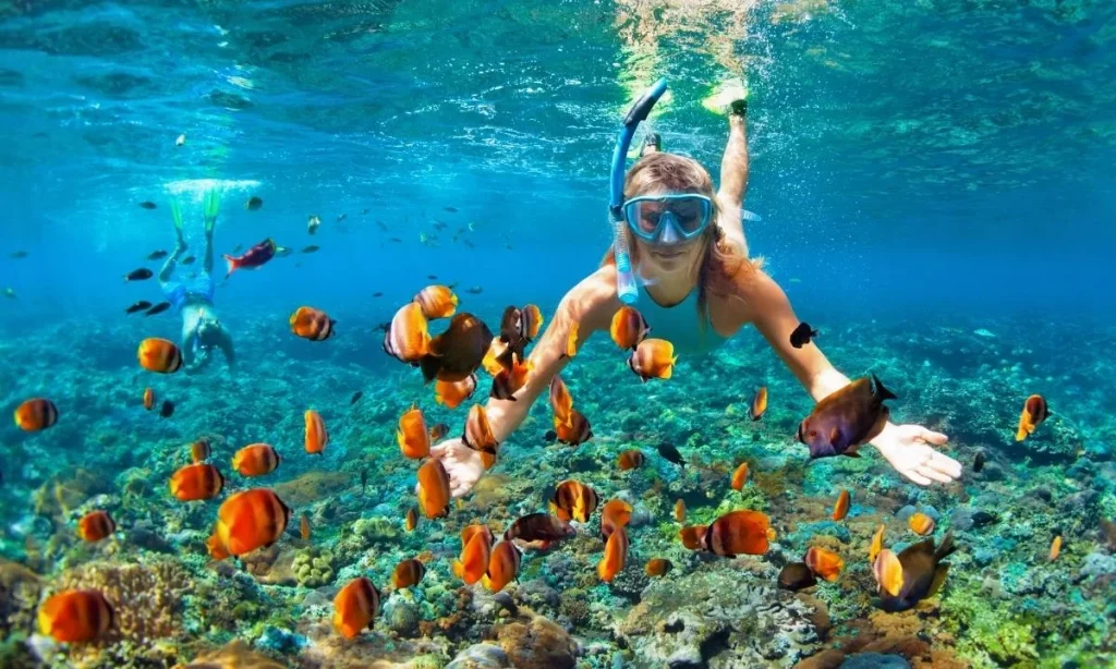 Cabo snorkeling