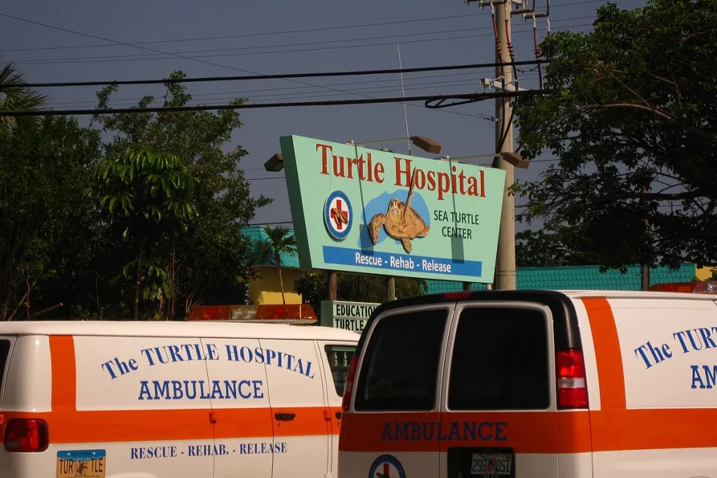 Keys Turtle Hospital