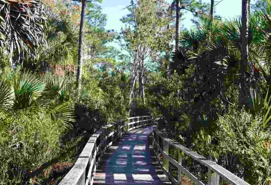 Corkscrew-Swamp-Sanctuary