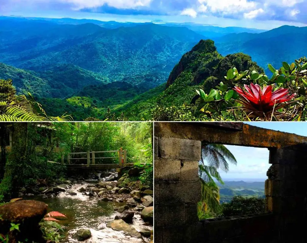 El Yunque, Puerto Rico vs US Virgin Islands