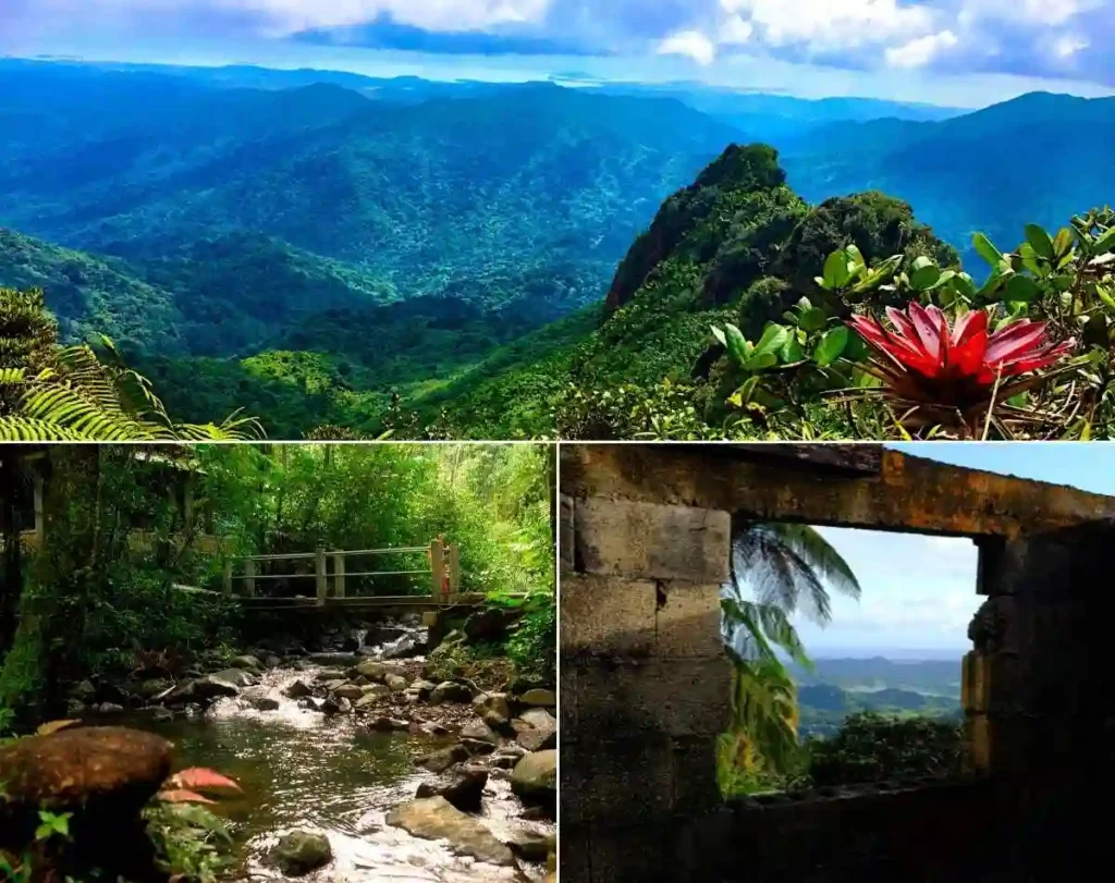 El-Yunque-Puerto-Rico