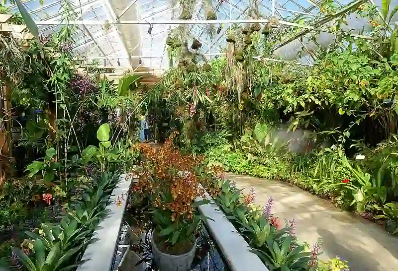 Marie Selby Botanical Gardens Sarasota,Florida