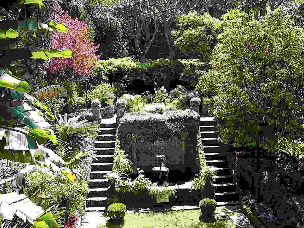 The_Dell,_Gibraltar_Botanic_Gardens