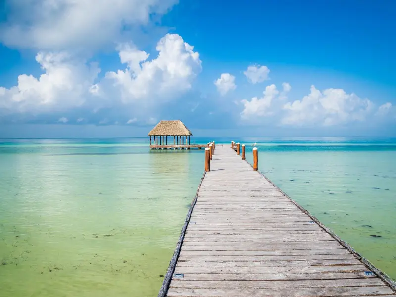 Holbox island- Cancun seaweed problem 2022