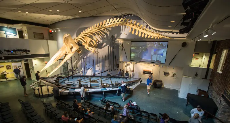 Nantucket whaling museum