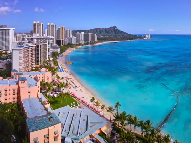Should You Rent a car in Honolulu